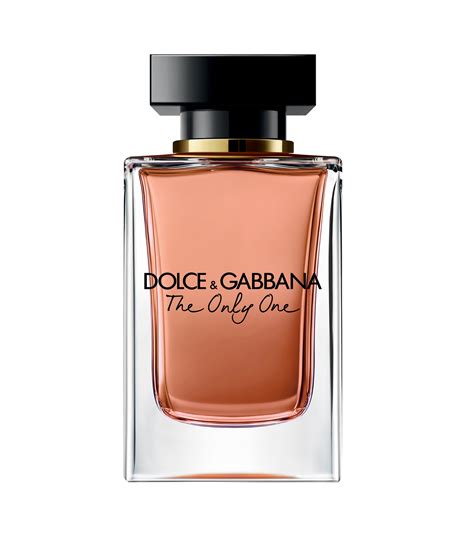 dolce gabbana perfume mujer citrico|dolce and gabbana perfume prices.